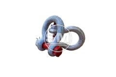 Shackle cw Lifting Certificate